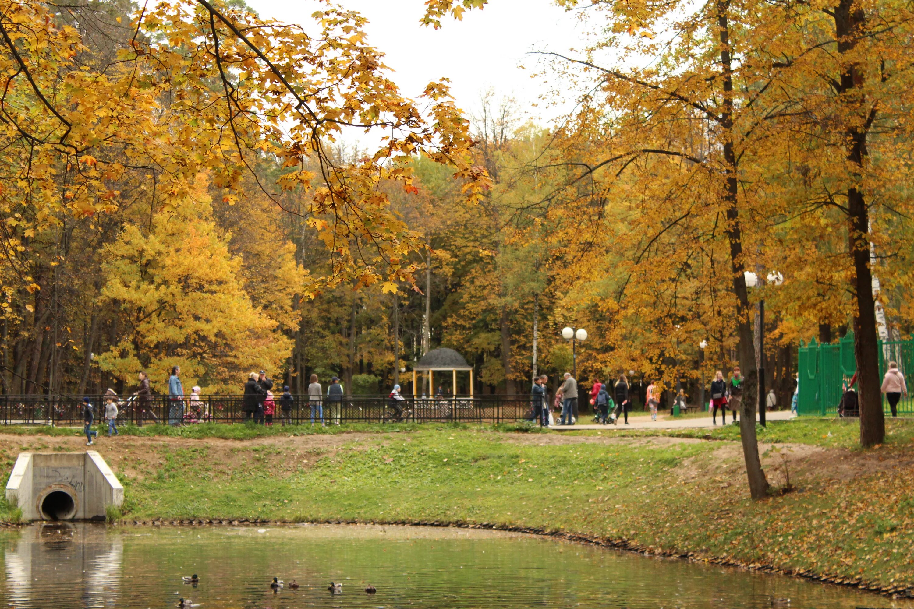Красногорский городской парк фото File:Осень в Красногорском городском парке.jpg - Wikimedia Commons
