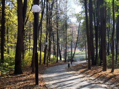 Красногорский городской парк фото Город Красногорск!