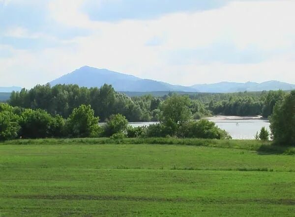 Красногорское алтайского края фото Продам земля сельхозназначения в районе Красногорском 8900.0 сот 8000000 руб баз