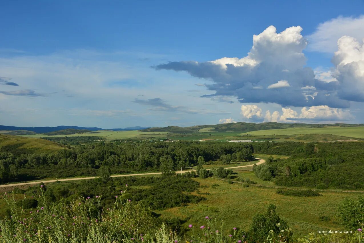 Красногорское алтайского края фото Верх-Алейка родина легендарных предков. Третьяковский район Фотопланета