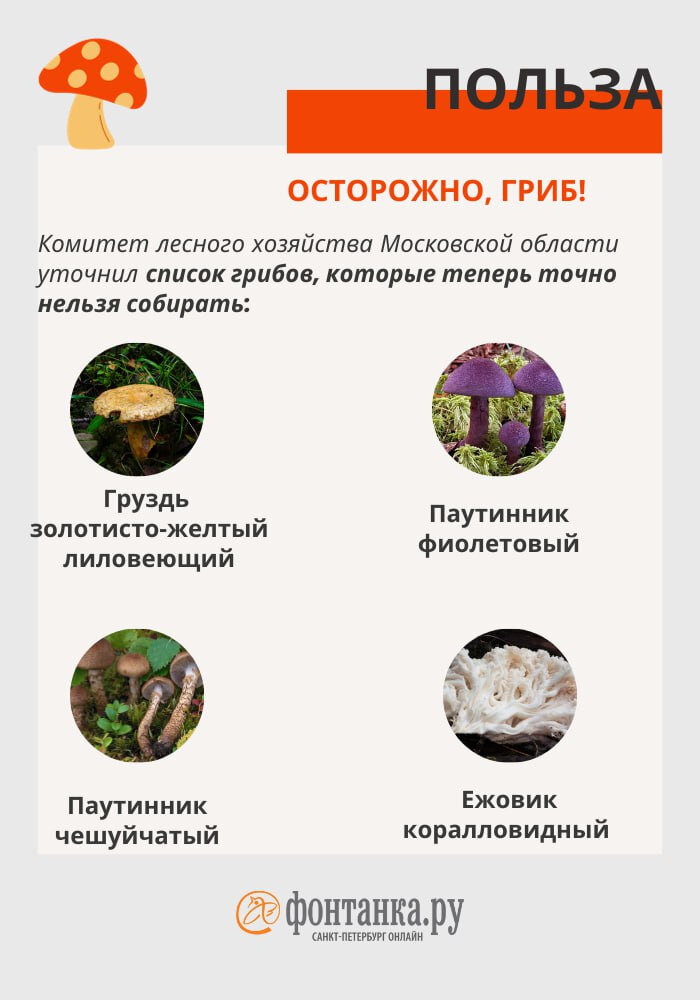 Краснокнижные грибы список с фото В России ввели уголовное наказание за сбор, уничтожение и повреждение краснокниж