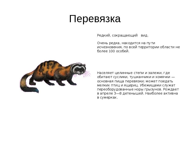 Краснокнижные животные волгоградской области фото и описание Красная книга Волгоградской области - презентация (животные)