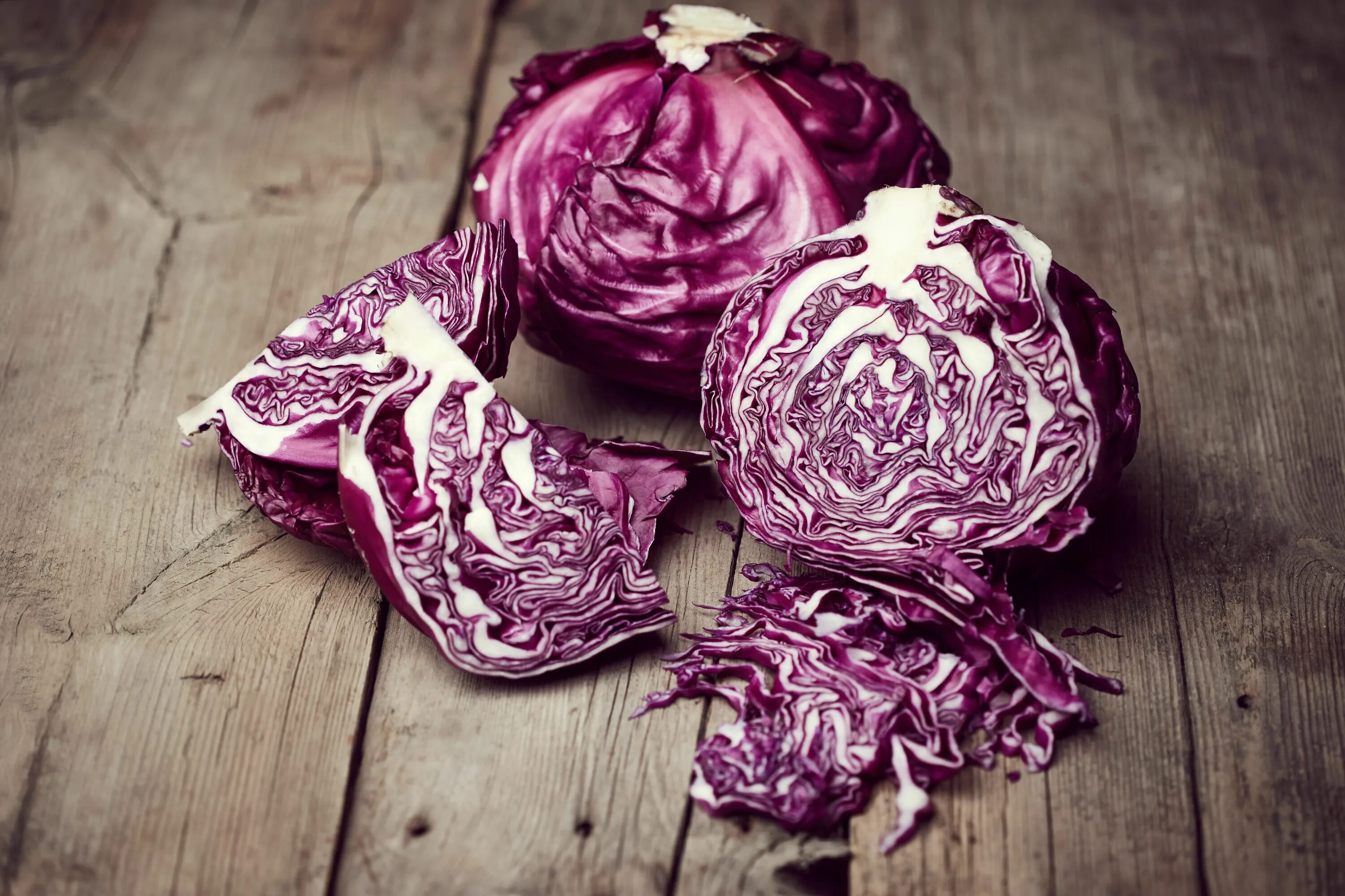 Краснокочанная капуста фото Purple Cabbage is the star of the show! The Nutrition Professor will take you fr