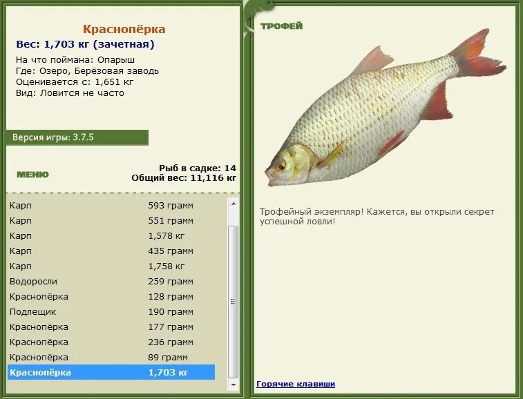 Красноперка где ловить и на что турниры * РУССКАЯ РЫБАЛКА