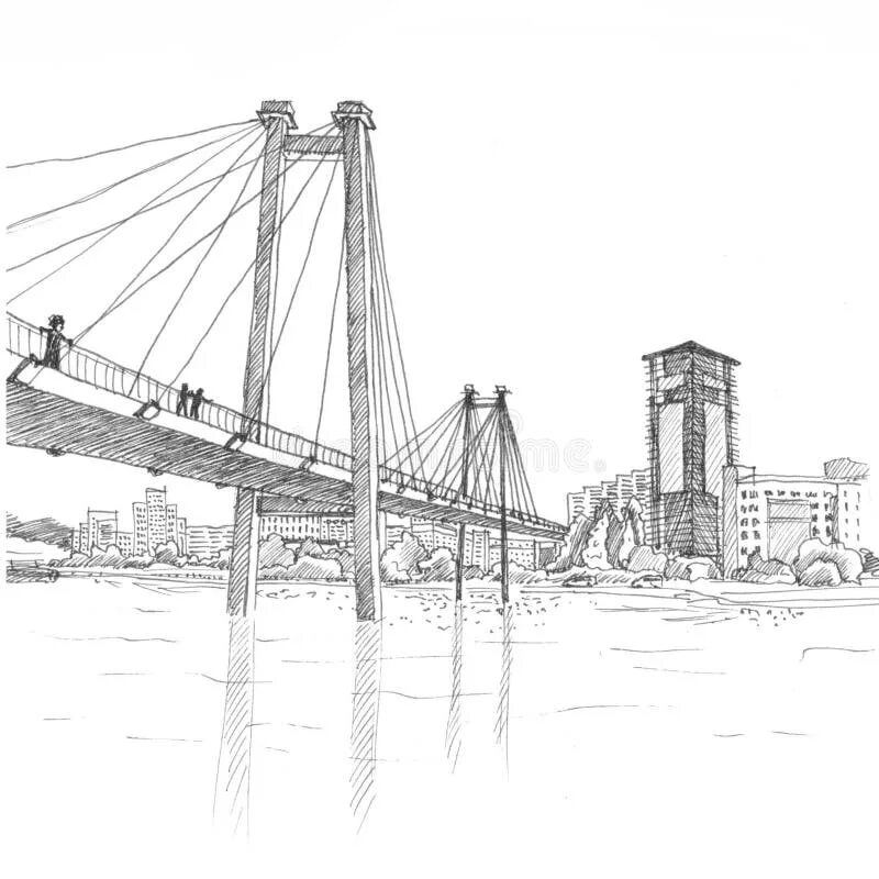 Красноярск черно белое фото Cable Bridge in Krasnoyarsk Black and White Stock Illustration - Illustration of