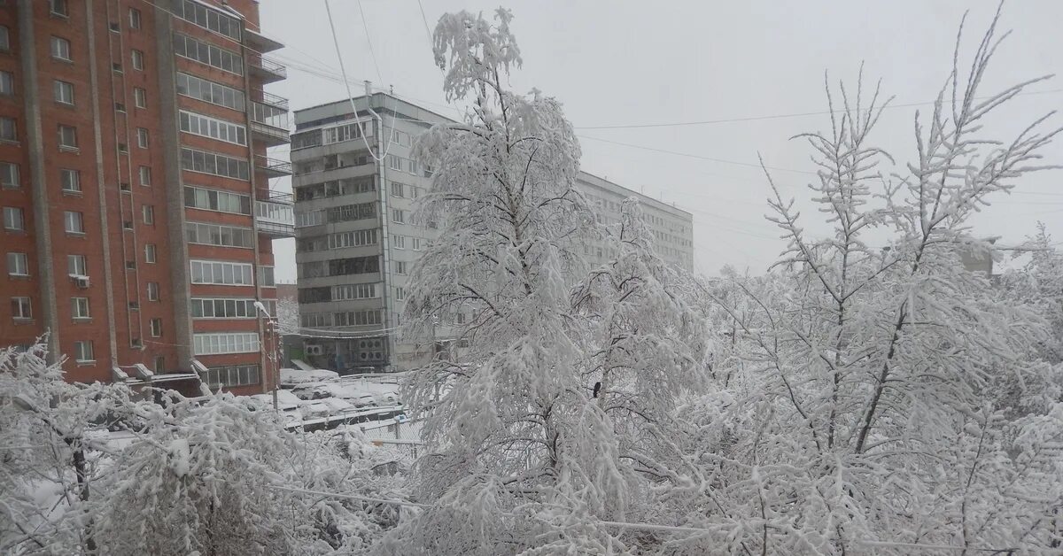 Красноярск погода фото Погода в красноярске в ленинском районе
