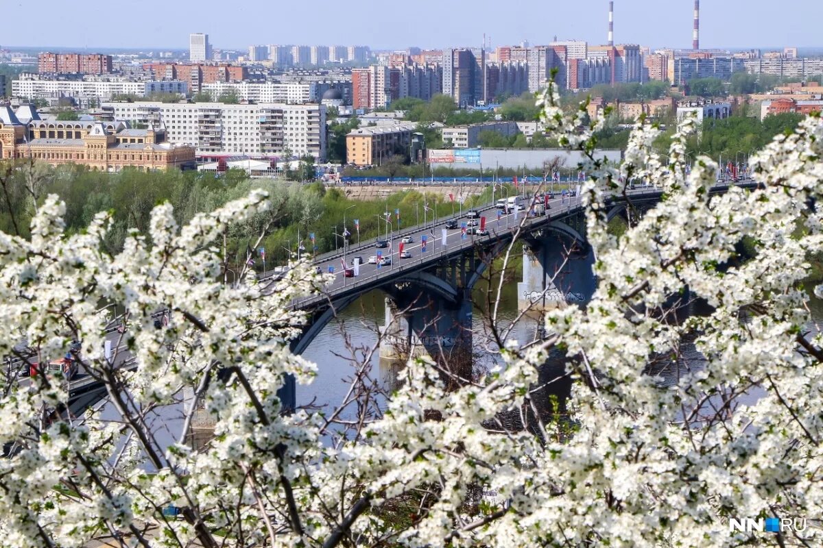 Красноярск в мае фото Весна, которая лето. 15 фотографий цветущего Нижнего Новгорода Регионы Селдон Но