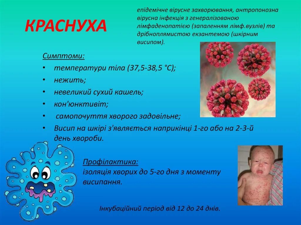 Краснуха какая сыпь фото Хвороби, викликані вірусом - презентация онлайн