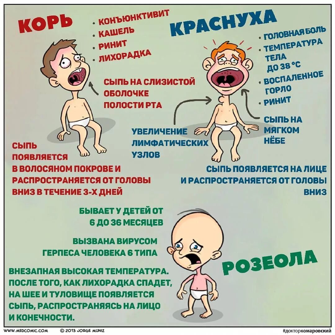 Краснуха симптомы у детей фото начальная стадия Instagram photo by Доктор Комаровский * Jul 20, 2016 at 7:02am UTC Gesundheit