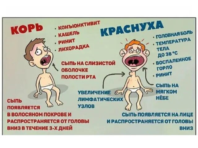 Краснуха симптомы у взрослых фото Тема: Воздушно-капельные инфекции, вызываемые специфическим возбудителем (корь, 