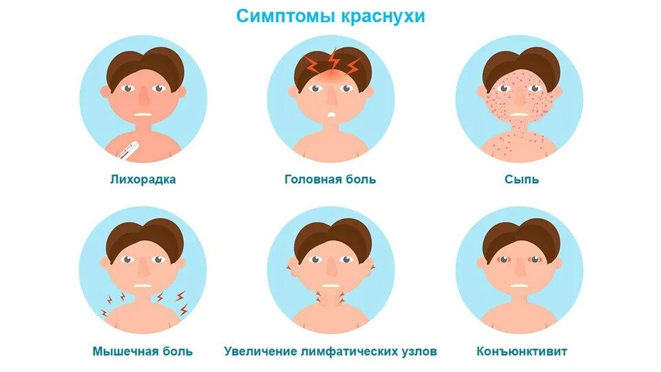 Краснуха симптомы у взрослых фото Краснуха - Центр медицинской профилактики и реабилитации Калининградской области