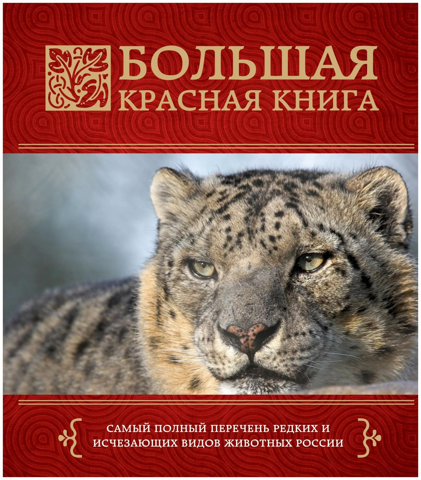 Красную книгу россии фото и названия Большая красная книга - купить в Москве, цены в интернет-магазинах на Мегамаркет