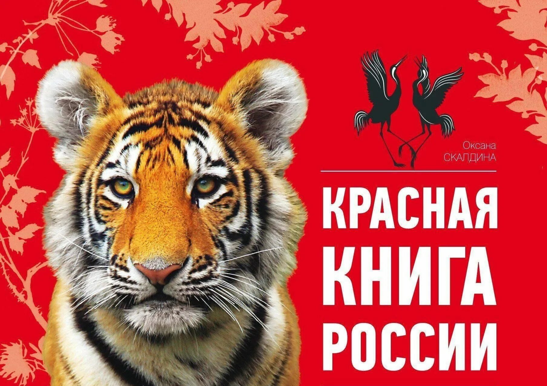 Красную книгу россии фото и названия Экологический час "Открывая Красную книгу" 2024, Ишим - дата и место проведения,