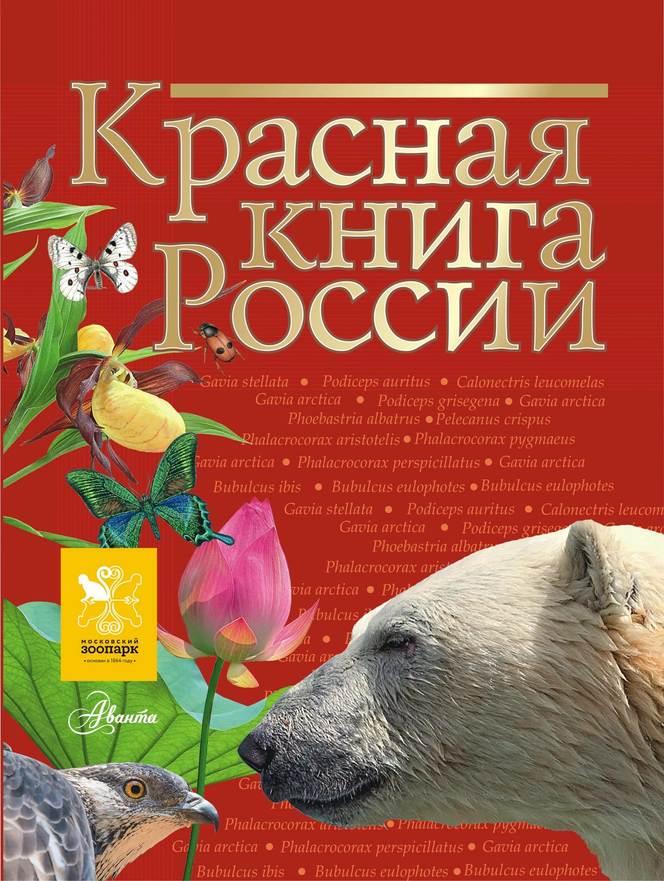 Красную книгу россии фото и названия Красная книга России Пескова Ирина Михайловна, Смирнова Светлана Викторовна - ку