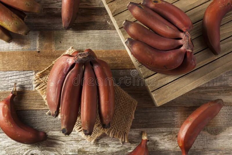 Красные бананы фото 518 Dacca стоковые фото - бесплатные и стоковые фото RF от Dreamstime - Страница