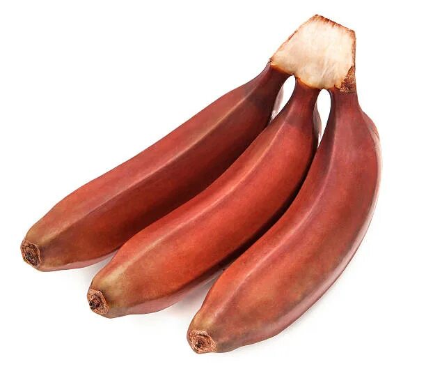 Красные бананы фото Rote Bananen - Bilder und Stockfotos - iStock