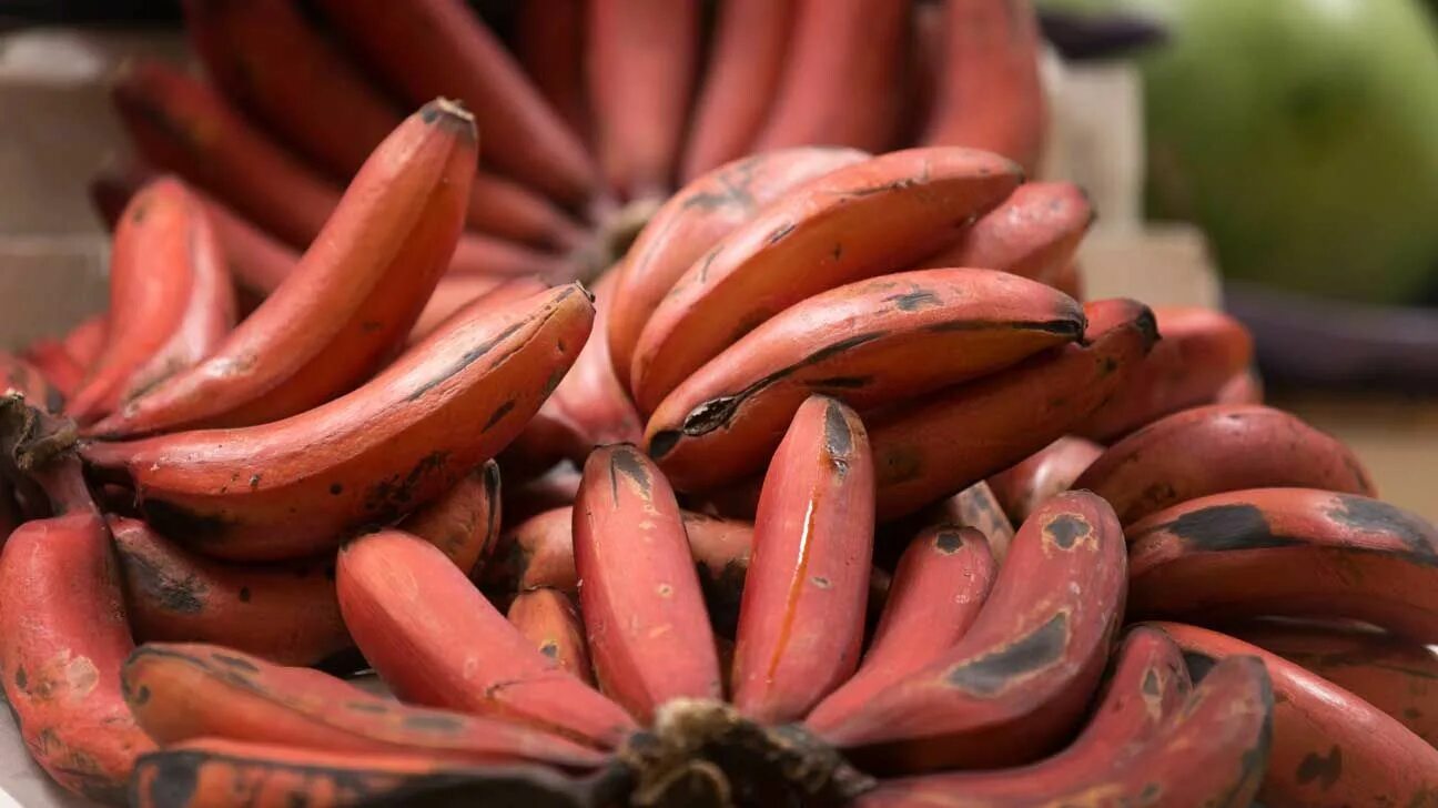 Красные бананы фото 7 Red Banana Benefits (And How They Differ From Yellow Ones) Banana benefits, Re