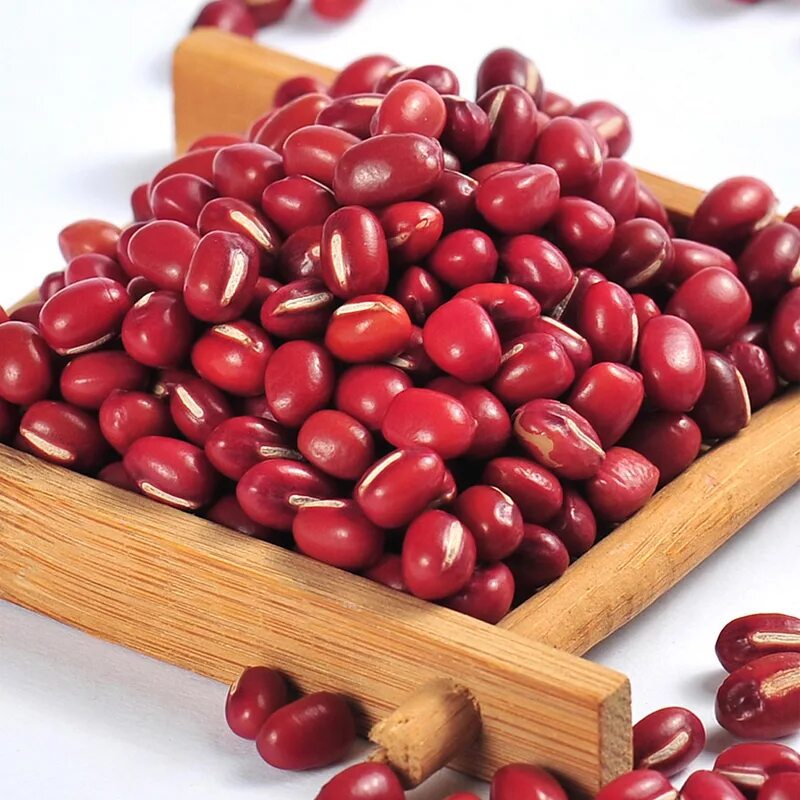 Красные бобы фото Natural fresh red bamboo beans, View Bamboo beans, JiaHe Product Details from Sh