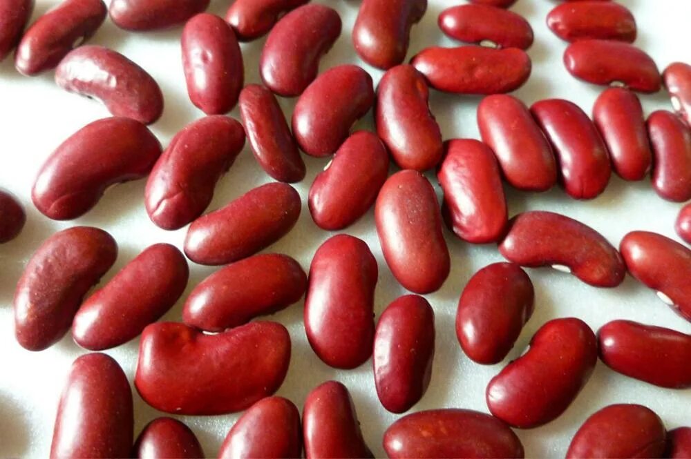 Красные бобы фото High Quality Canned Red Kidney Beans for Sale,China price supplier - 21food