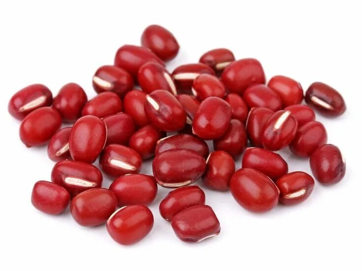 Красные бобы фото Adzukis Bean Adzuki beans, Beans, Azuki bean