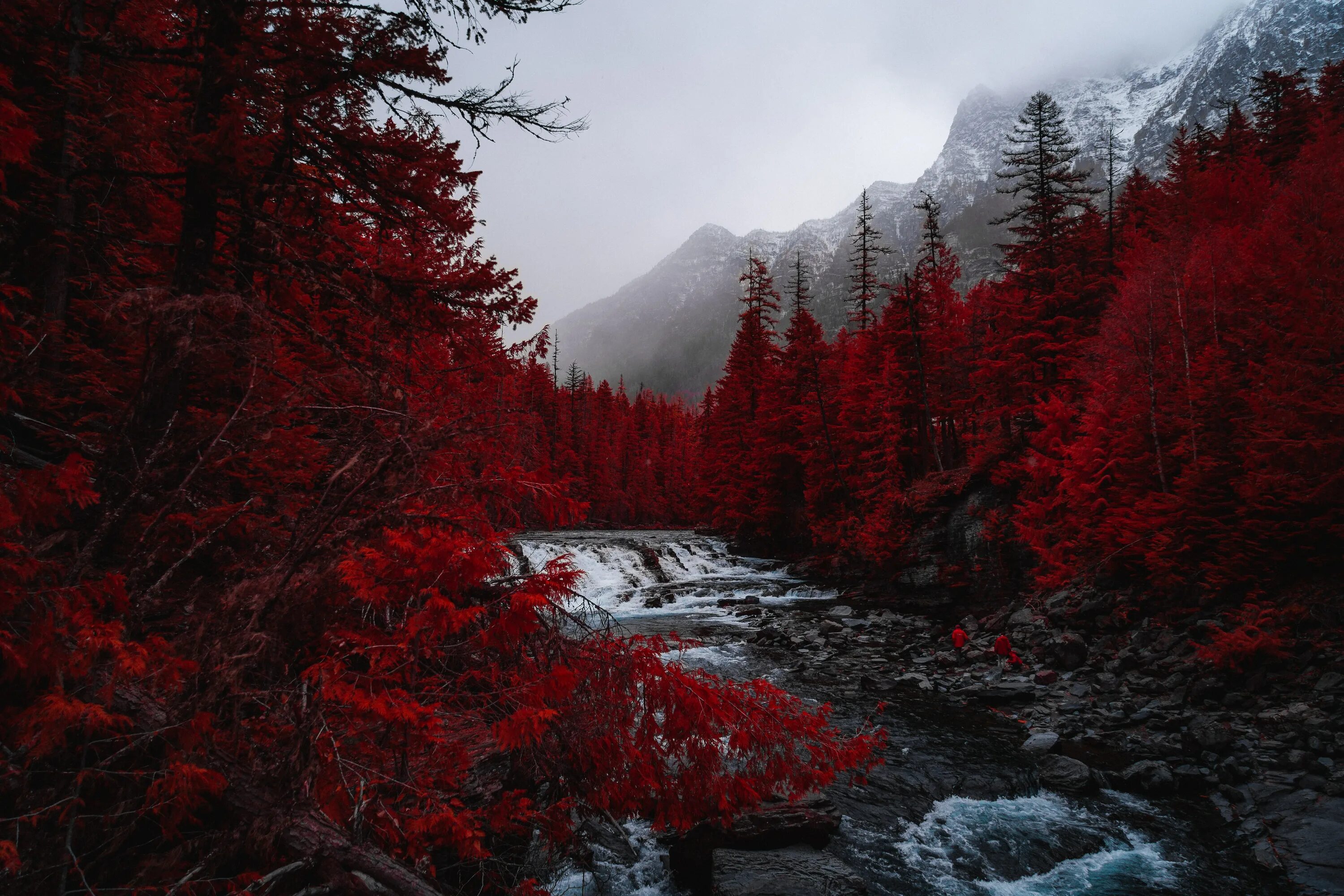 Красные фото на рабочий стол Wallpaper Red, Tree, Sky, Spruce Fir Forests, Natural Landscape, Background - Do