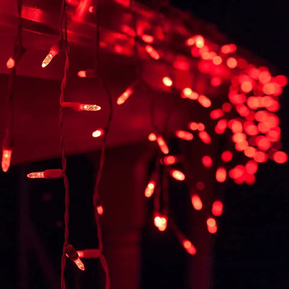 Красные идеи для фото Amazon.com: Led Colored Icicle Lights