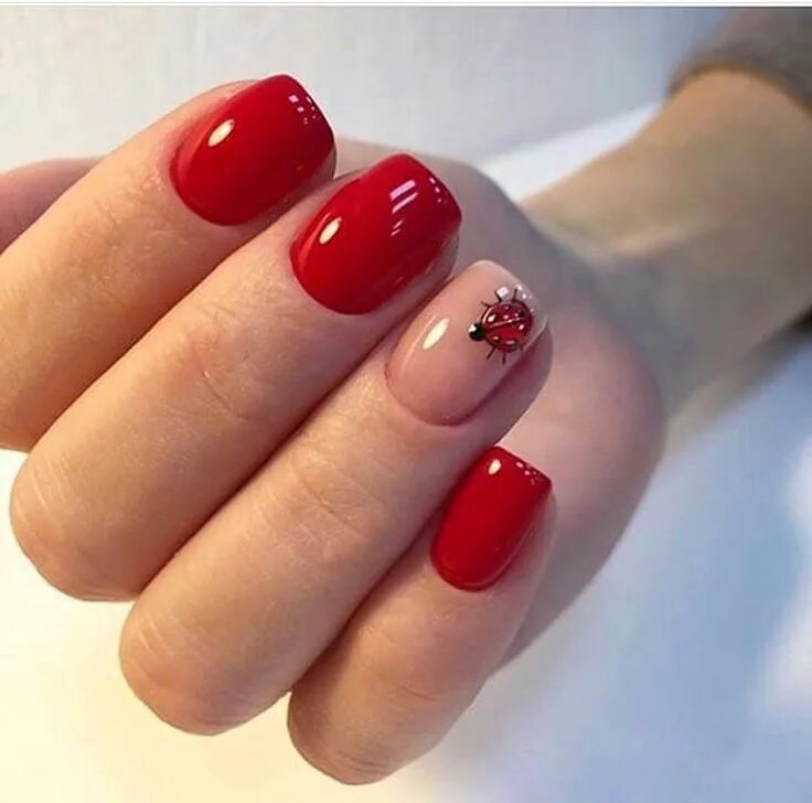 Красные короткие ногти фото Pin on ղ ɑ եվ ɾ ɑ ӏ Ӏ վ ƒ ɑ ҍ մ ӏ օ մ Տ ➳ Ladybug nails, Spring nail art, Cute s