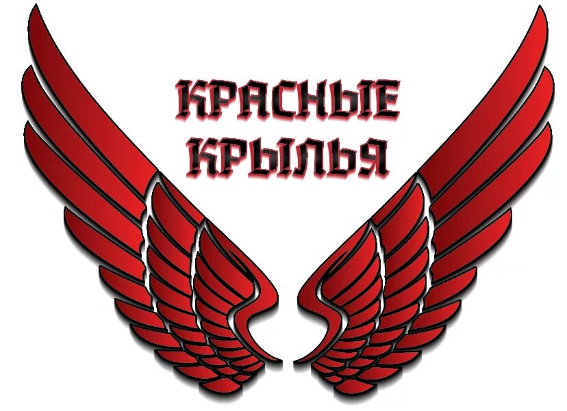 Красные крылья фото Уличная хоккейная лига