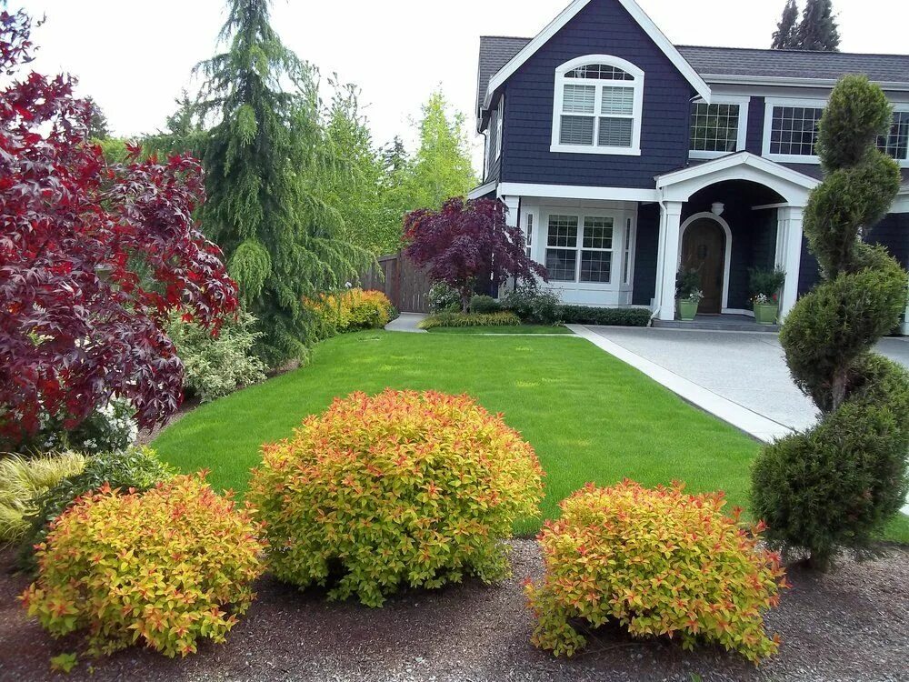 Красные кусты в ландшафтном дизайне название фото Japanese Spirea, such as 'Magic Carpet, - Google Search Landscaping shrubs, Fron