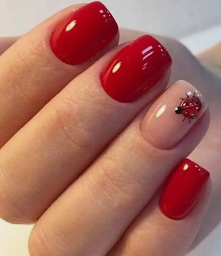 Красные ногти маникюр короткие круглые short red natural nails Short acrylic nails, Nail manicure, Ladybug nails