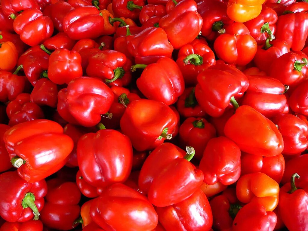 Красные овощи фото Купить семена Перец сладкий Sweet pepper Bulgarian Carrot в Москве: доставка сем