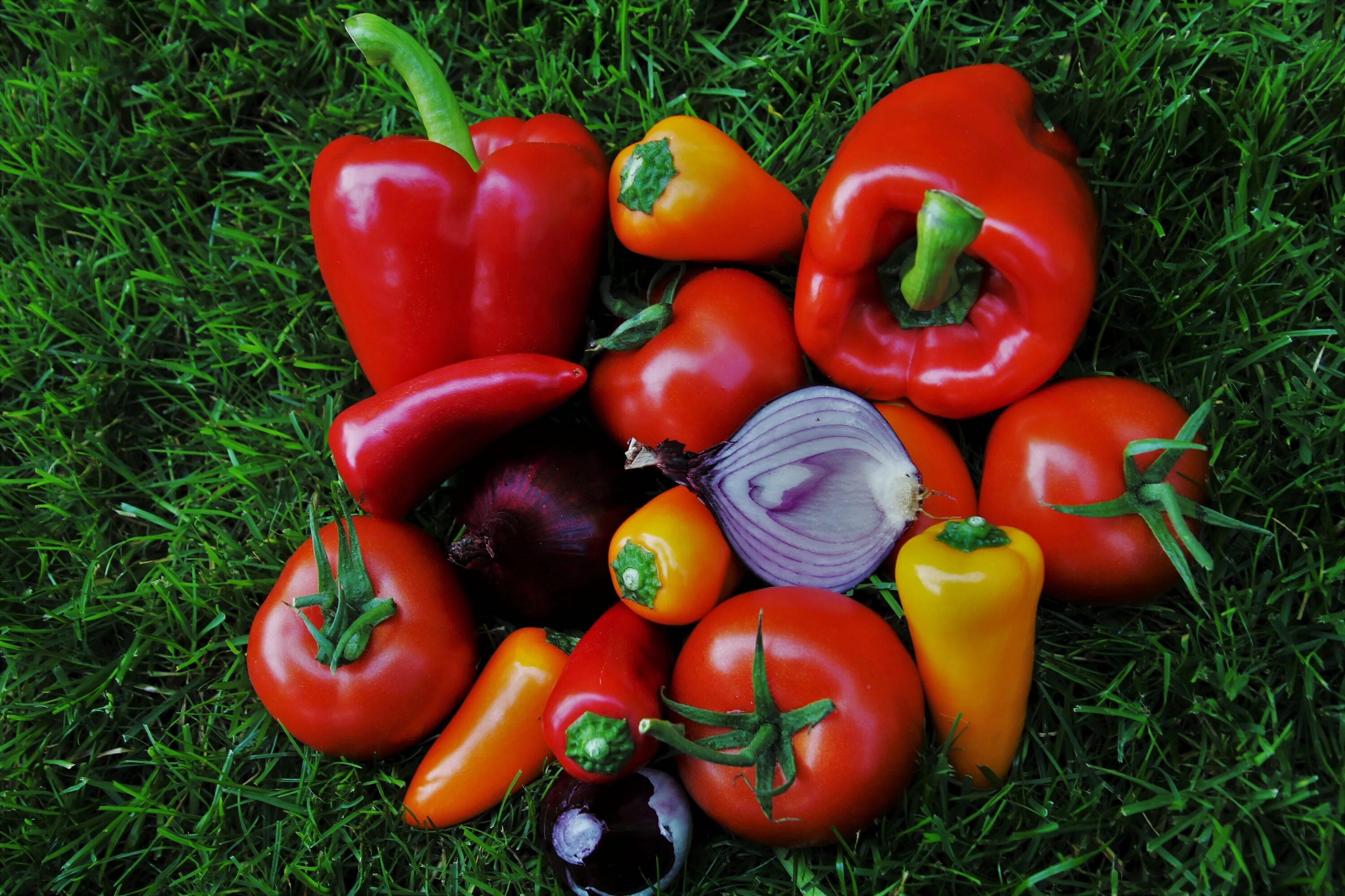 Красные овощи фото Colorful raw Vegetables on grass free image download