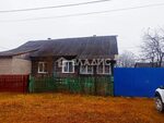 Красный богатырь фото Красный богатырь владимирская