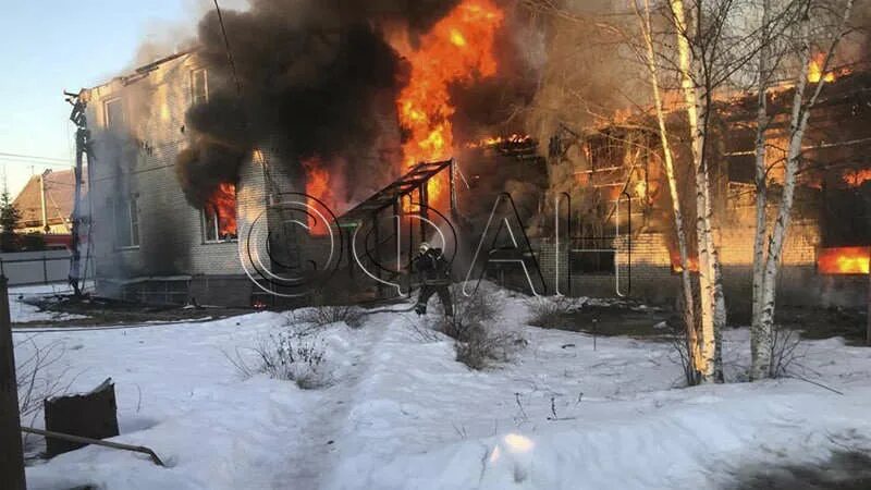 Красный бор векторная ул 16 фото Огонь охватил частный дом в поселке Красный Бор Ленобласти. Ria.City - городские