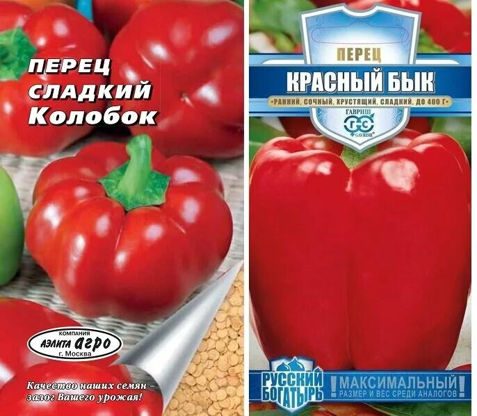 Красный бык перец описание сорта характеристика фото Ранние перцы: фото и описание 15 лучших сортов Антонов сад - дача и огород Дзен