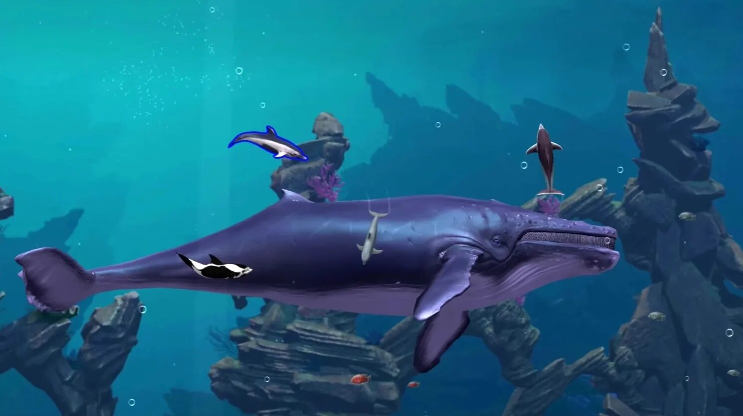Красный дельфин игра фото Dolphin Quest создаётся командой разработчиков Ecco The Dolphin. Игру показали н