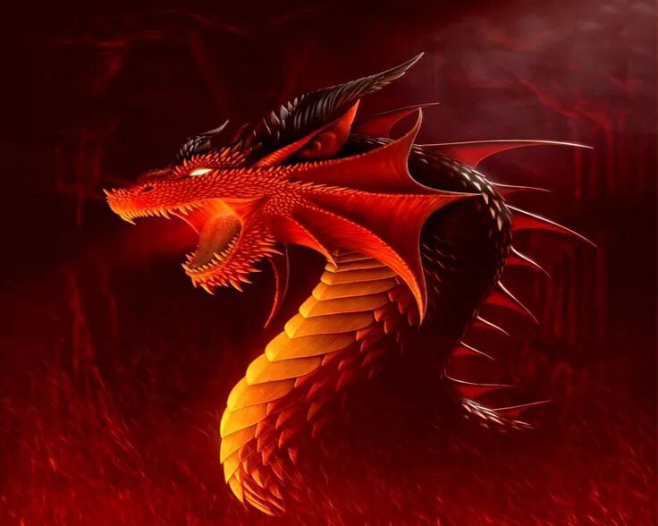 Красный дракон фото Orange Dragon images, Dragon pictures, Fantasy dragon