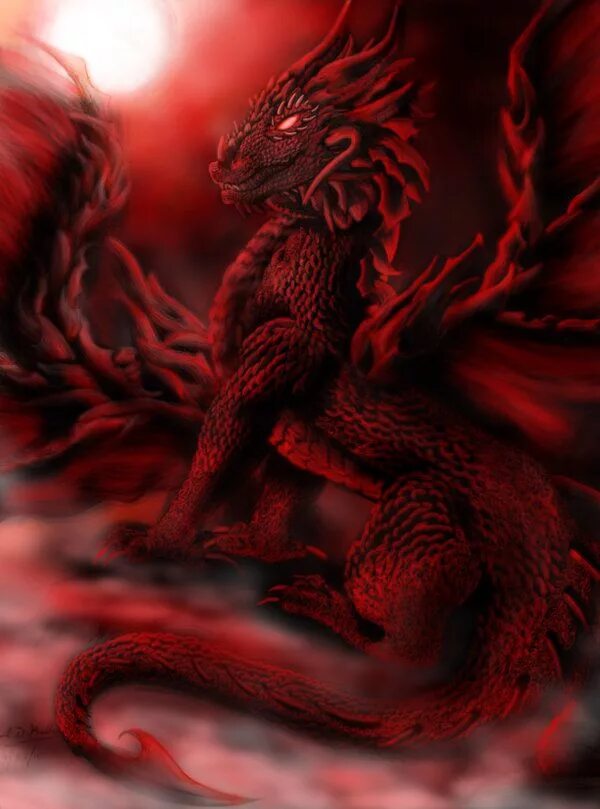 Красный дракон фото dragon Dragões