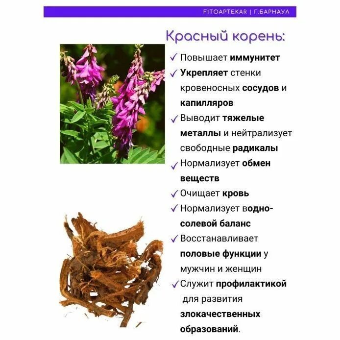 Красный корень фото Настойка красного корня - купить настойку копеечника по выгодной цене с доставко