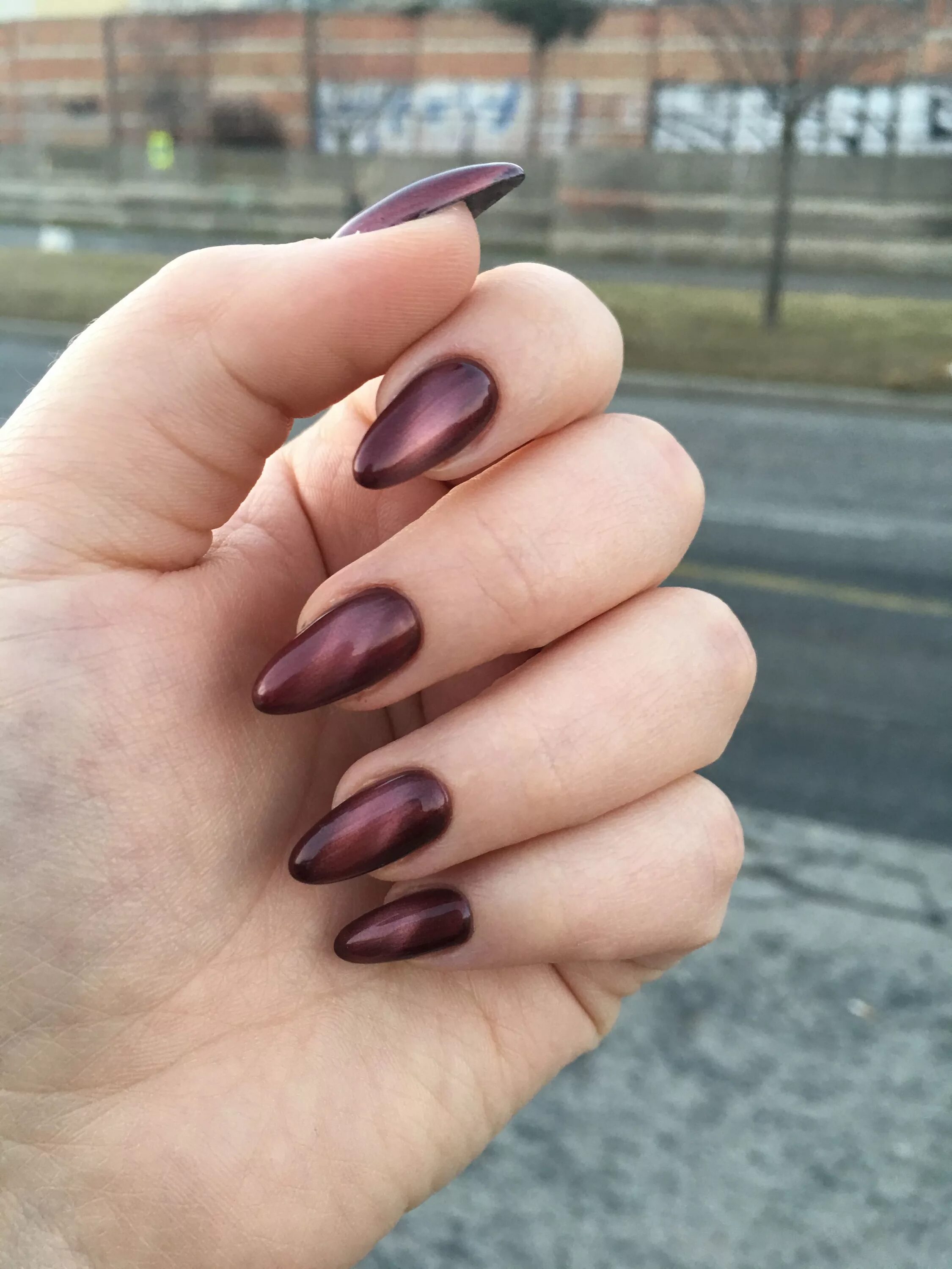 Красный кошачий глаз маникюр миндаль Cat eye nails idea. Spring 2017 edition. Red brown marsala manicure. Beautiful n