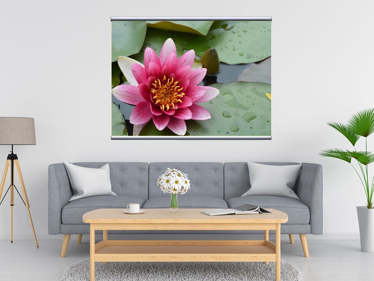 Красный лотос ул масленникова 72 фото Картина на холсте "Lotus, красный, листьев лотоса" 120x90 см. с алюминиевым подв