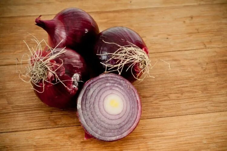 Красный лук фото Onion Sauce: The Recipe - Lazzaris