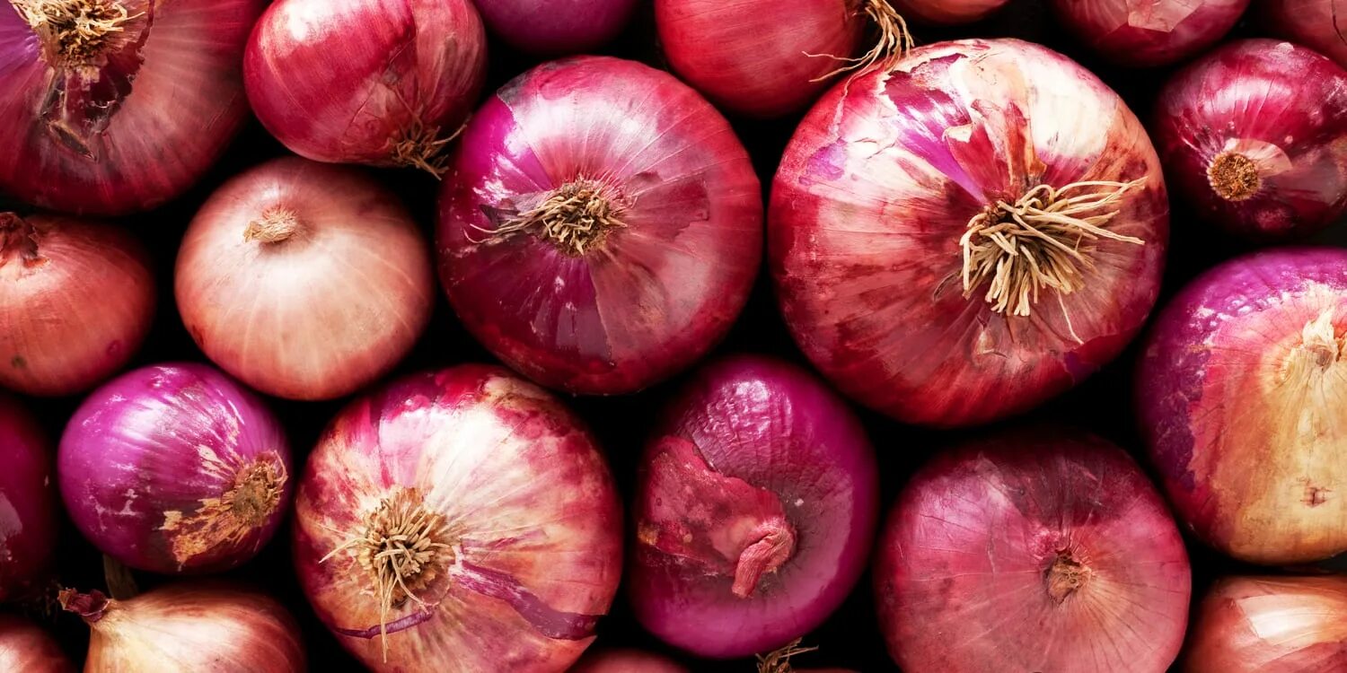 Красный лук фото Onions in HelloFresh meal deliveries recalled for salmonella