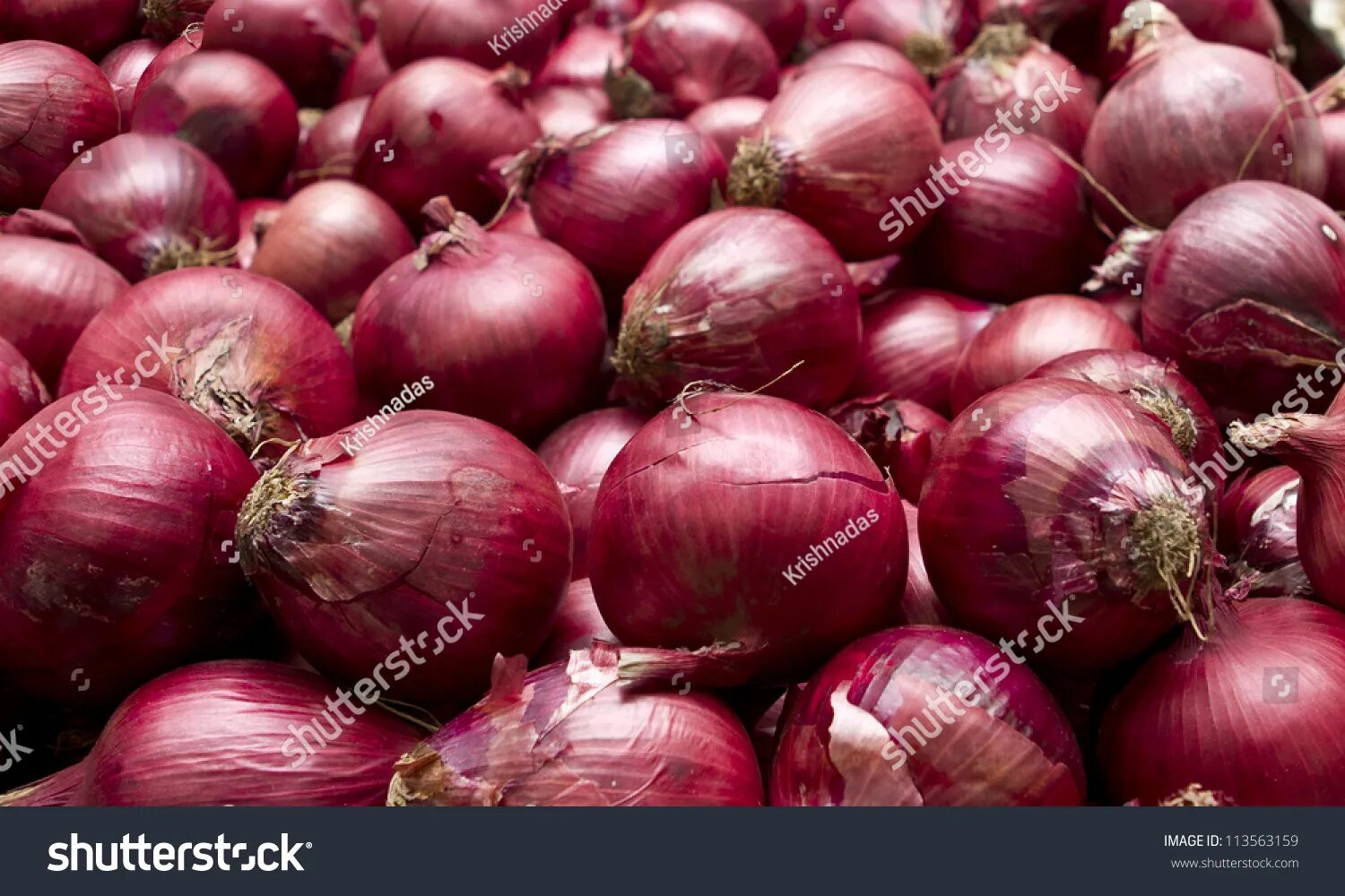 Красный лук фото 716,340 Red Onions Background Images, Stock Photos & Vectors Shutterstock
