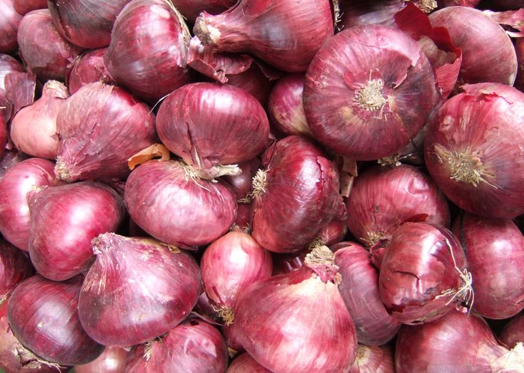 Красный лук фото How to Cook Red Onions Onion, Red onion, Cooking
