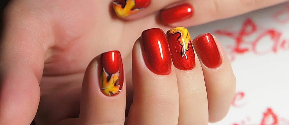 Красный маникюр осенний дизайн 2024 год Cute Autumn Nail Designs You'll Want To Try Fall nail designs, Cute nails for fa