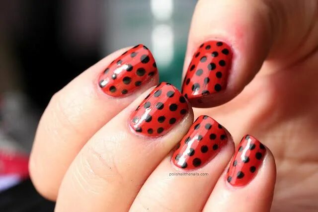 Красный маникюр с точками Polish All the Nails: Review: Rimmel Stiletto Red with Black Dots Nails, Nail ca