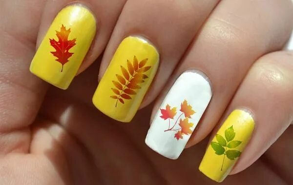 Красный маникюр с желтыми листьями Autumn Fall Leaves Nail Art Decals Set #2 Fall leaves nail art, Fall nail art de