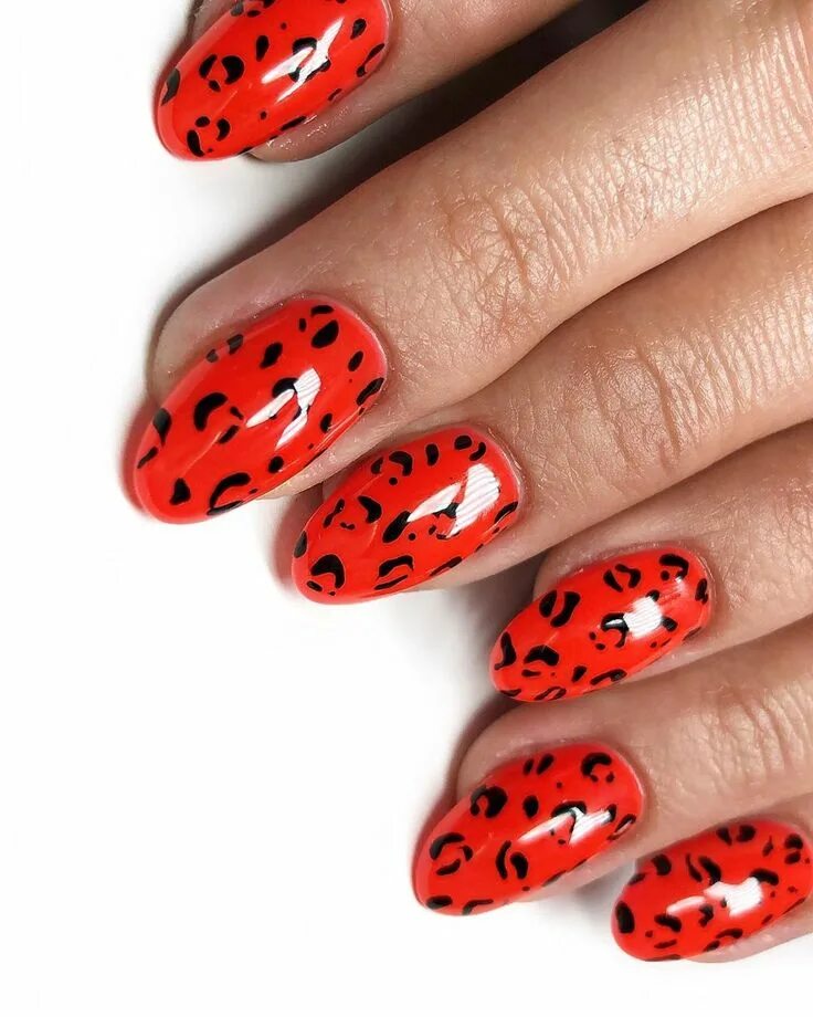 Красный маникюр с животным принтом 3,337 отметок "Нравится", 60 комментариев - NAILDIT (@nailditbyalyssa) в Instagr