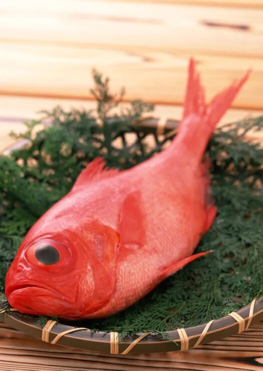 Красный окунь фото Gallery.ru / Фото #74 - Datacraft Sozaijiten - Fresh Fish - dnk